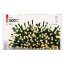 D4AW06 EMOS CLASSIC vánoční řetěz 500 LED, zelený drát, 50m, časovač, teplá bílá, IP44