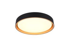 TRIO Reality R64391080 FELIS stropní svítidlo SMD LED D400mm 24W/2500lm 2700-6500K čierno-zlatá, bílá, stmívatelné, dálkový ovladač