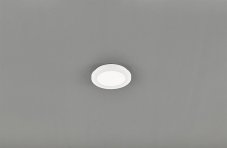 TRIO Reality R62921001 Camillus stropné svietidlo LED 1x10W 850lm 3000K IP44