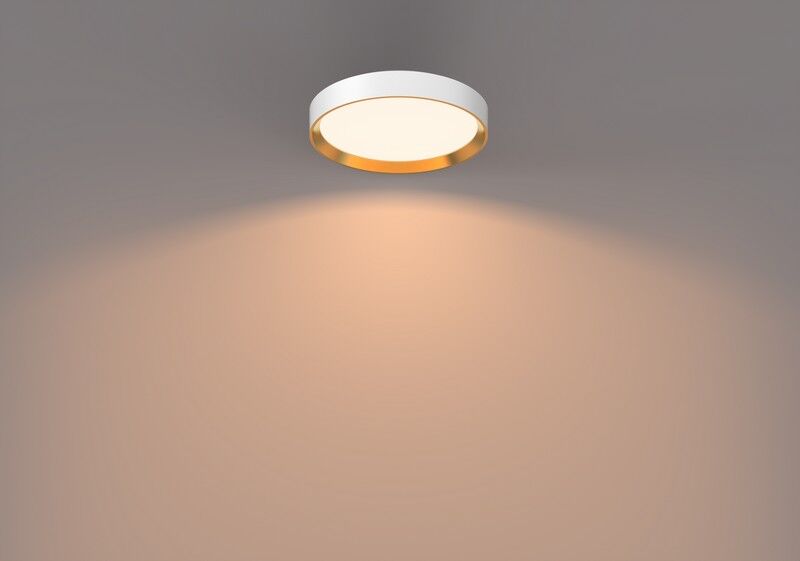 Philips 8720169301375 Hanno stropné svietidlo D384mm LED 24W/2700lm 2700K biela, zlatá, SceneSwitch