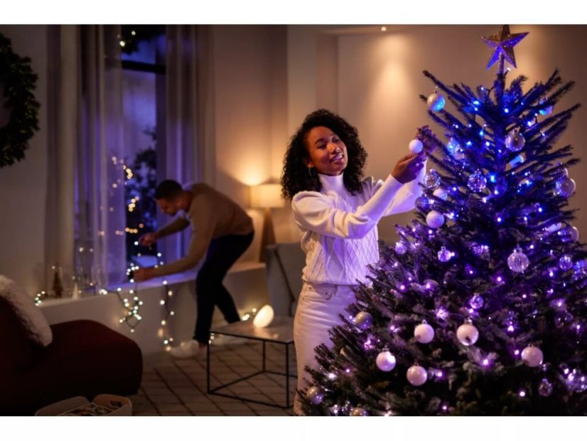 8720169246867 PHILIPS HUE White and Color Ambiance Festavia string lights - vánoční světelný řetěz 500 LED 2x20m 2000-6500K+RGB IP44/IP54 černý