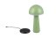 TRIO Reality R57716149 FUNGO venkovní stolní lampa SMD LED V310mm 2W/200lm 3000+4000+6500K IP54 pistáciová, černá, nabíjecí baterie, USB-C port, nabíjecí stanice