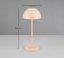 TRIO Reality R54106166 RICARDO vonkajšia dotyková stolná lampa SMD LED V300mm 1,7W/240lm 3000K IP54 piesková, nabíjateľná batéria, USB-C port