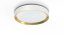 Philips 8720169301375 Hanno stropné svietidlo D384mm LED 24W/2700lm 2700K biela, zlatá, SceneSwitch