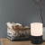 Dotyková stolná lampa TRIO Ary