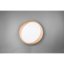 TRIO R62712402 ZETA stropné svietidlo LED D485mm 24W/1920lm 2700-6500K, čierna, biela, stmievateľné, diaľkové ovládanie