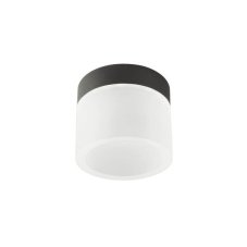 REDO 01-3359 NAIDA povrchové bodové svietidlo D100mm LED 6W/258lm 3000K+4000K IP44 čierna
