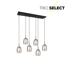 TRIO SELECT 317500654 BARRET závesné svietidlo 6xE14 čierna matná, dymová
