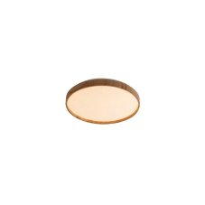 RABALUX 71144 LEANA2 stropní svítidlo LED D385mm 24W/1440lm 3000K buk, starlight efekt