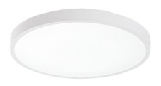 RABALUX 71428 Alenzo stropné svietidlo D355mm LED 24W/1530lm 3000-6000K IP44 biela, stmievateľné, diaľkový ovládač