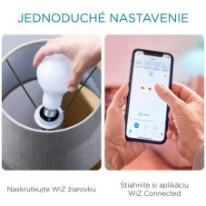 Philips WiZ Colors 8718699786199 LED žiarovka E27 13W/1521lm A67 2200-6500K RGB