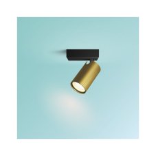 Philips 8720169299177 Idris nástenné bodové svietidlo/spot 1xGU10 IP44 čierna, zlatá, ClickFix
