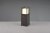 TRIO 577860142 WITHAM vonkajšie stojanové svietidlo/stĺpik SMD LED V400mm 14,5W/1450lm 2300+3000+4000K IP54 antracitová