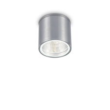 Exteriérové stropné svietidlo Ideal lux 092324 GUN PL1 ALLUMINIO 1xGU10 28W IP44 IP44