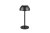 TRIO Reality R54106132 RICARDO vonkajšia dotyková stolná lampa SMD LED V300mm 1,7W/240lm 3000K IP54 čierna matná, nabíjateľná batéria, USB-C port