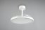 TRIO Reality R64452131 KASFJORD Stropné svietidlo s ventilátorom D1060mm SMD LED 34W/3900lm 2700-6500K biela, diaľkový ovládač