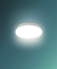 Philips 8720169295988 Acuna stropné svietidlo so senzorom D245mm LED 12W/1350lm 2700K biela