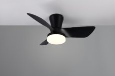 TRIO Reality R64412132 RANDERS Stropný ventilátor s osvetlením D760mm SMD LED 20W/2500lm 2700-6000K čierna, diaľkový ovládač