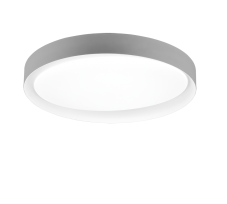 TRIO R62712411 ZETA stropné svietidlo LED D485mm 24W/1920lm 2700-6500K, šedá, biela, stmievateľné, diaľkové ovládanie