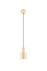 TRIO 319400144 AGUDO závěsné svítidlo D120mm 1xE27 plavá