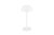 TRIO Reality R54106131 RICARDO vonkajšia dotyková stolná lampa SMD LED V300mm 1,7W/240lm 3000K IP54 biela matná, nabíjateľná batéria, USB-C port