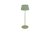 TRIO Reality R57706149 SUAREZ vonkajšia stolná lampa SMD LED V390mm 1,5W/200lm 3000K IP44 pistáciová, čierna, nabíjateľná batéria, USB-C port, nabíjacia stanica, ON/OFF
