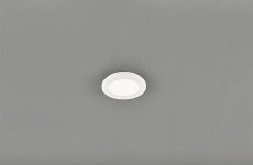 TRIO Reality R62921001 Camillus stropní  svítidlo LED 1x10W 850lm 3000K IP44