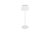 TRIO Reality R57706131 SUAREZ vonkajšia stolná lampa SMD LED V390mm 1,5W/200lm 3000K IP44 biela matná, čierna, nabíjateľná batéria, USB-C port, nabíjacia stanica, ON/OFF