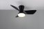 TRIO Reality R64412132 RANDERS Stropný ventilátor s osvetlením D760mm SMD LED 20W/2500lm 2700-6000K čierna, diaľkový ovládač