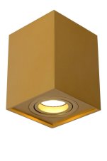 LUCIDE 22953/01/02 TUBE Stropné bodové svietidlo GU10 1x50W matná zlatá/mosadz