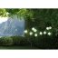 Globo 33971W solárne svietidlo dekoratívne, reťaz s lampiónmi D75mm LED 10x0,06W 4000K IP44, biela