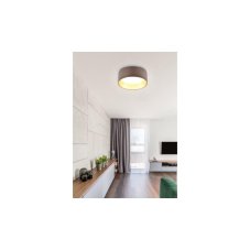 TRIO Reality R64191141 LOCARNO stropné svietidlo SMD LED D300mm 12W/1160lm 3000K šedohnedá