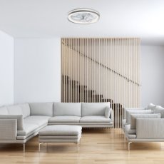 RABALUX 71335 Fanricius stropné svietidlo s ventilátorom D480mm LED 40W/2200lm 3000+4000+6000K strieborná, stmievateľné, diaľkový ovládač