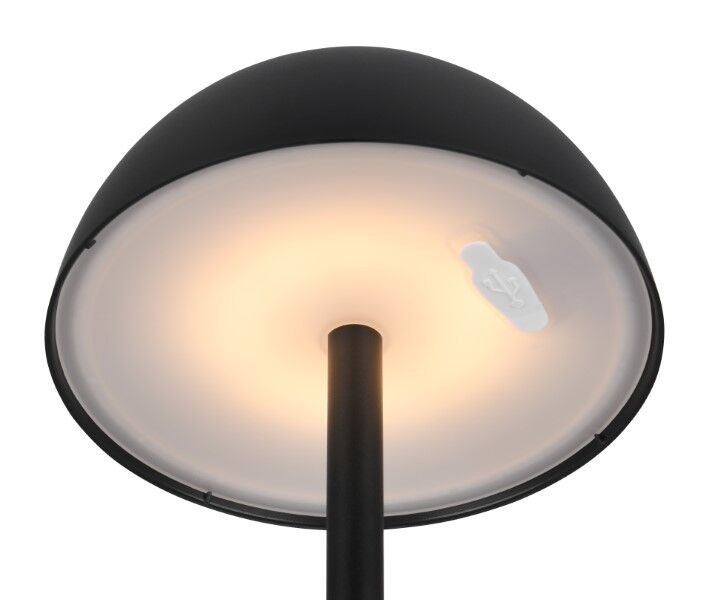 TRIO Reality R54106132 RICARDO vonkajšia dotyková stolná lampa SMD LED V300mm 1,7W/240lm 3000K IP54 čierna matná, nabíjateľná batéria, USB-C port