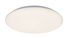 RABALUX 71125 Rorik stropní svítidlo LED D480mm 45W/3930lm 4000K bílá