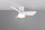 TRIO Reality R64412131 RANDERS Stropný ventilátor s osvetlením D760mm SMD LED 20W/2500lm 2700-6000K biela, diaľkový ovládač