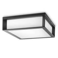 Philips Skies vonkajšie stropné/nástenné svietidlo E27 2x42W IP44 antracitové