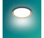 Philips UltraEfficient 8720169301115 Pebblo stropné svietidlo D320mm LED 10W/1950lm 4000K čierna, béžová, SceneSwitch
