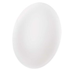 Emos ZM1120 LED FIONI stropné/nástenné prisadené klasické svietidlo kruh priemer 255 × 63 mm 12W 1200lm 4000K biela