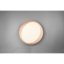TRIO R62712402 ZETA stropné svietidlo LED D485mm 24W/1920lm 2700-6500K, čierna, biela, stmievateľné, diaľkové ovládanie