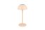 TRIO Reality R54106166 RICARDO vonkajšia dotyková stolná lampa SMD LED V300mm 1,7W/240lm 3000K IP54 piesková, nabíjateľná batéria, USB-C port