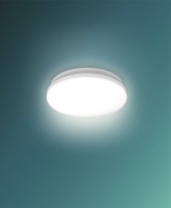 Philips 8720169295988 Acuna stropné svietidlo so senzorom D245mm LED 12W/1350lm 2700K biela