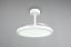 TRIO Reality R64452131 KASFJORD Stropné svietidlo s ventilátorom D1060mm SMD LED 34W/3900lm 2700-6500K biela, diaľkový ovládač