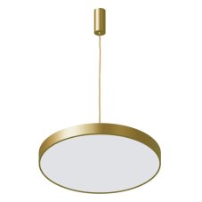 Italux 5361-860RP-GD-3 LED závesné svietidlo Orbital D600mm 60W/3600lm 3000K zlatá, biela