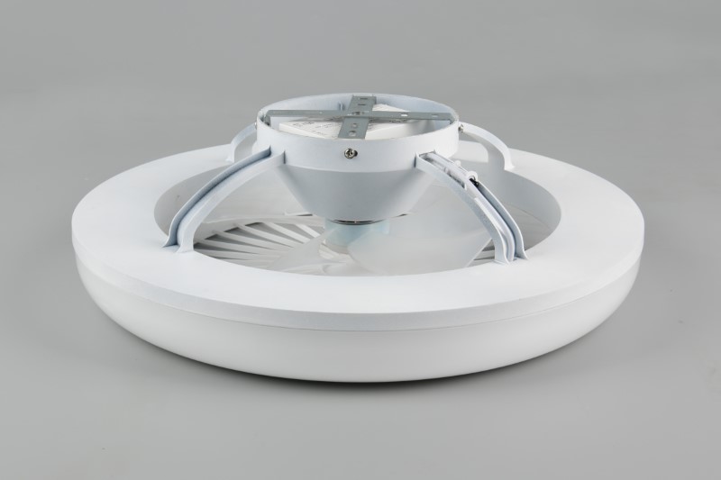 TRIO Reality R64032101 MORA Stropné svietidlo s ventilátorom D450mm SMD LED 13W/1400lm 2700-6500K biela, diaľkový ovládač