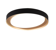 TRIO R62712402 ZETA stropné svietidlo LED D485mm 24W/1920lm 2700-6500K, čierna, biela, stmievateľné, diaľkové ovládanie
