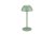 TRIO Reality R54106149 RICARDO vonkajšia dotyková stolná lampa SMD LED V300mm 1,7W/240lm 3000K IP54 pistáciová, nabíjateľná batéria, USB-C port