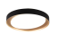 TRIO R62712402 ZETA stropné svietidlo LED D485mm 24W/1920lm 2700-6500K, čierna, biela, stmievateľné, diaľkové ovládanie